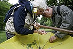 Insektenexperten bei der Arbeit